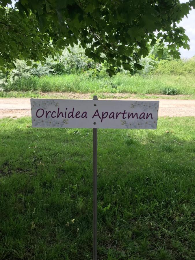 Orchidea Apartman Hegykő Dış mekan fotoğraf